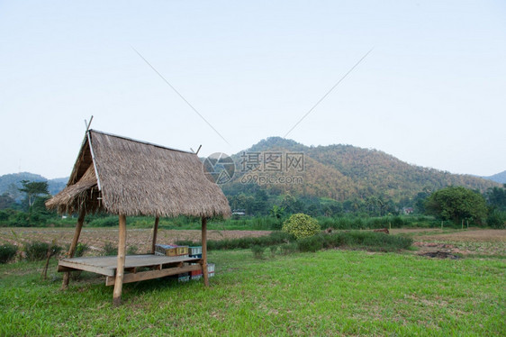 爬坡道字段草原木林小屋的棚田中深处被雾散落的山丘谷图片