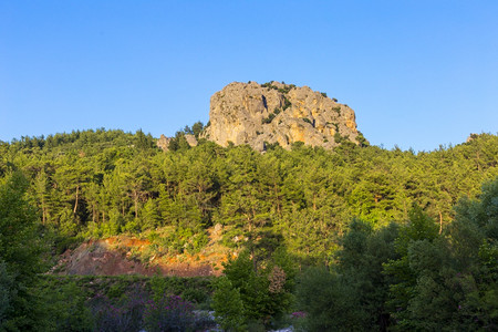 洛基落岩山和森林景观范围多岩石的图片