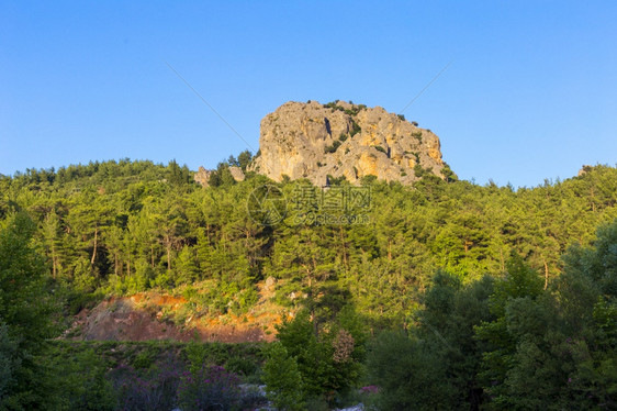 洛基落岩山和森林景观范围多岩石的图片