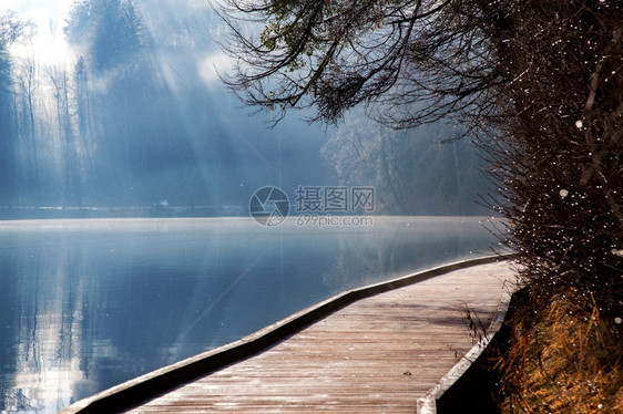 在湖边穿过树木的阳光照耀着太的芒闪耀水下在面图片