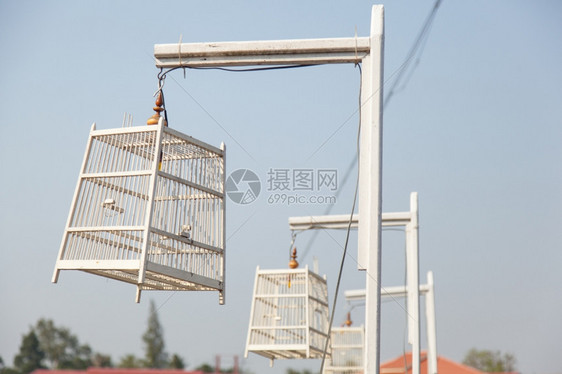 逃脱金子鸟笼绑在水中一根柱子上但没有鸟笼小路图片