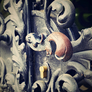 建筑学门口老的漂亮旧门手工制造的铁匠作图片
