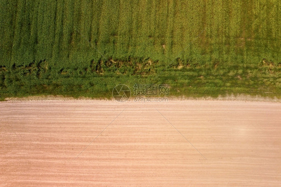 质地乡村的具有绿色发芽年轻植被和黄色未绿的田地表面鸟瞰图抽象印具有绿色发芽的年轻植被和黄色未绿的田地表面空中视野抽象印多于图片