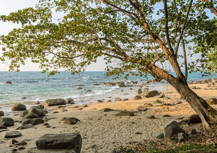 印度人天空泰国Phangnga省KhaoLak大树上挂着木头摇摆的岩石海岸滩安达曼图片