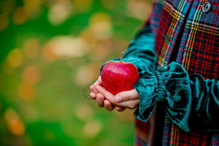 红色的爱一个女孩手里拿着一个红苹果在秋天的花园里背景模糊文本的地方收获有机苹果一个女孩手里拿着一个红苹果文本的地方园图片
