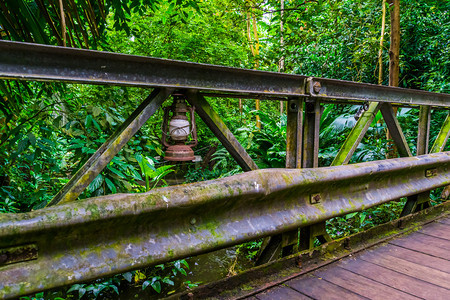 在丛林风景的一座桥上古老的生锈灯笼自然建筑齿轮油优质的图片