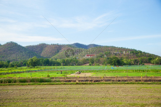 景观树山区附近的农业和山地农民将土划为田用土地绿色图片