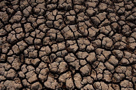 干旱地区景观泰国干旱危机等地区土壤破碎和干燥裂生长热图片
