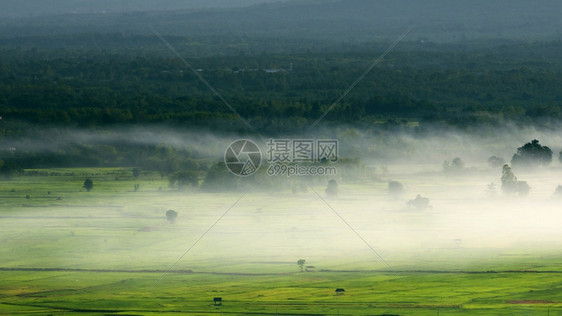 清晨在美丽的稻田上喷雾日落多路段天空图片