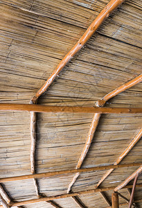 林中公园办室木棚的竹子屋顶在林中的公园办室自然银行黄色的图片