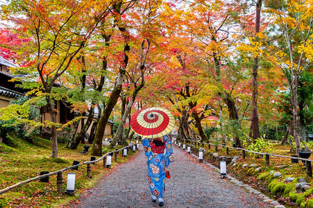 建筑学穿着日本传统和服的亚裔女子在秋天公园散步季节橙图片