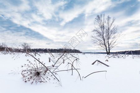 偏僻的天气十二月雪地覆盖着积的田地表面的干草药寒冬日阴暗图片