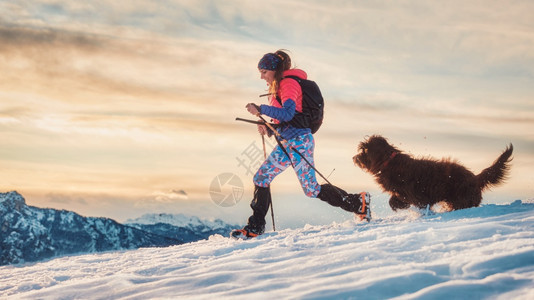 女运动员带着她的狗在雪上高山的漫步中冬天积极的图片