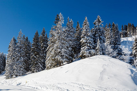 冬季雪景风光图片