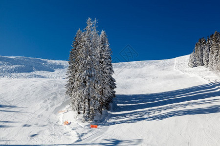 冬季雪景风光图片