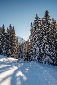 冬季雪景风光图片