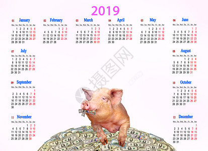 金融宠物2019年的日历有趣猪和满一堆美元的肥猪明年标志家庭动物们躺在一堆钱上花复制空间日历上办公室和家庭用2019年的日历用有图片