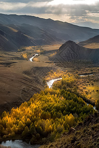 阿尔泰山和间峡谷的自然景观阿尔泰山和间峡谷的自然景观活动降低树木图片