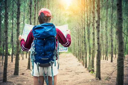 欧洲踪迹度假旅行和野生自然概念期间参加松林远足的女游客旅行以及生活方式和妇女的活动人民和户外冒险主题回顾观点和有选择的重假期图片