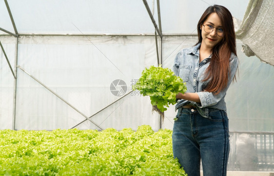商业亚洲农民妇女在温室有机食品概念中持有生蔬菜沙拉以检查水栽养农场系统中有机食品的质女士营养图片