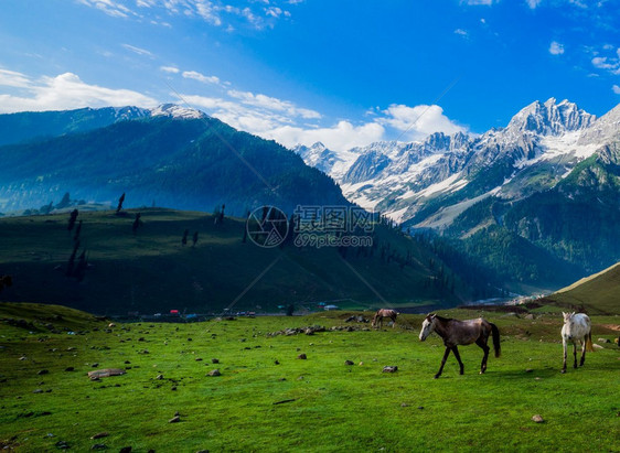 人吸引力场地查谟和克什米尔邦Sonamarg美丽的山景图片