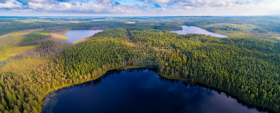 美丽无人机风景优美俄罗斯卡雷利亚地区森林和湖泊的空中全景观俄罗斯图片
