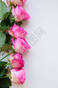 粉红玫瑰在白桌上排成一情人背景复制空间美丽的粉红色玫瑰假期春天红色的图片