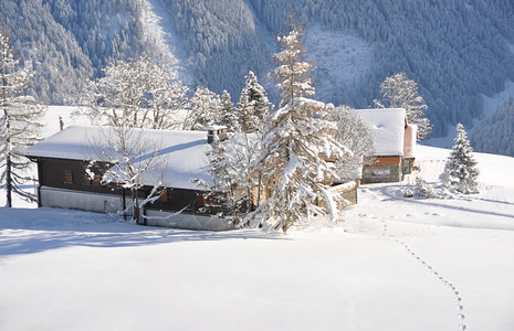 冬季雪景风光图片