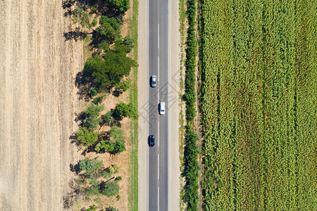 绿色排空中无人驾驶飞机观看被剥光的向日葵田和干枯的空地用树木和高速公路分割开来晒干图片