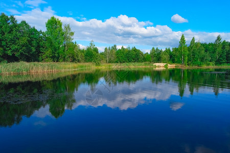湖边多云的阳光森林湖和蓝云天空的夏季风景森林湖和蓝云天空图片