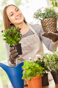 绿色花的抓住白种年轻女人在家里做园艺用她丰富多彩的植物图片