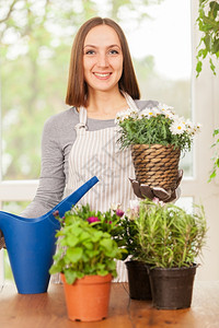 花瓶家务屋白种年轻女人在家里做园艺用她丰富多彩的植物图片