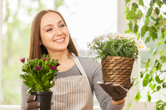 白种年轻女人在家里做园艺用她丰富多彩的植物木头爱好黑发图片