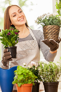 桌子屋白种年轻女人在家里做园艺用她丰富多彩的植物爱好图片