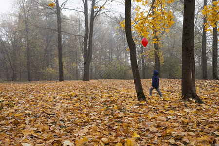 哪一个树叶十月秋季公园天有落叶男孩穿着蓝色夹克和红气球散步秋季公园休息男孩在散步时男孩在蓝外套上脱落的叶子还有红气球步行图片