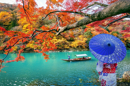在日本京都沿河的秋季亚裔妇女在阿拉希山穿着日本传统和服自然红色的丰富多彩图片