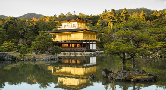 落下树日本京都九寺金殿美丽的宝馆日本京都水池图片