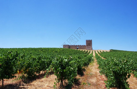 夏天塔葡萄牙Alentejo地区的庄园和古老城堡叶子图片