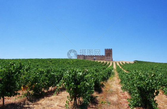 夏天塔葡萄牙Alentejo地区的庄园和古老城堡叶子图片