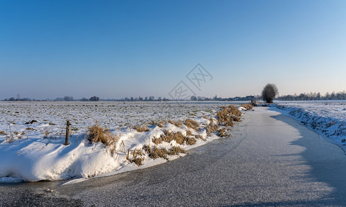 白雪的风景与冰冻沟渠在阳光明媚的天空下十二月早晨旅行图片