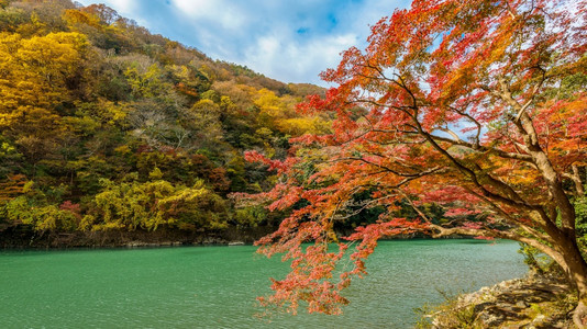 亚洲日本京都沿河秋季的亚林山枫日本人图片
