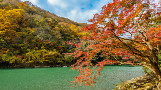 亚洲日本京都沿河秋季的亚林山枫日本人图片