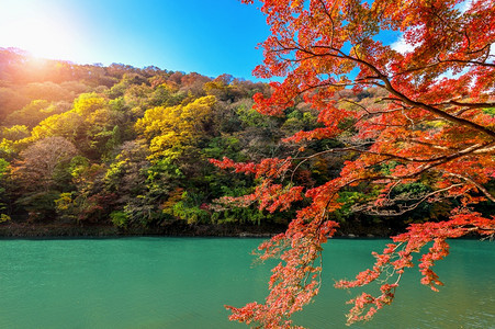 日本京都沿河秋季的亚林山旅行女孩森林图片