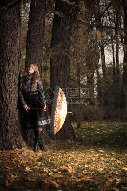 灌木丛站立自然晚上在秋天公园带雨伞的女孩图片