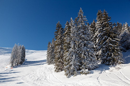 冬季雪景风光图片