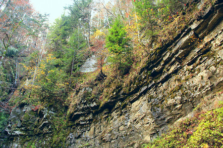 野矿物峡谷山中的岩层石地质学喀尔巴阡山脉的森林中岩层图片