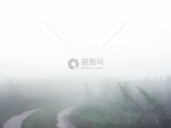 黎明绿色清晨秋雾穿过田野的泥土路在浓厚白雾中消失原始糊面天然背景和复制空间秋晨白雾九月图片