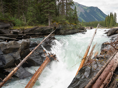 加拿大不列颠哥伦比亚省Kootenay公园内努马瀑布全景象农村目的地旅行图片