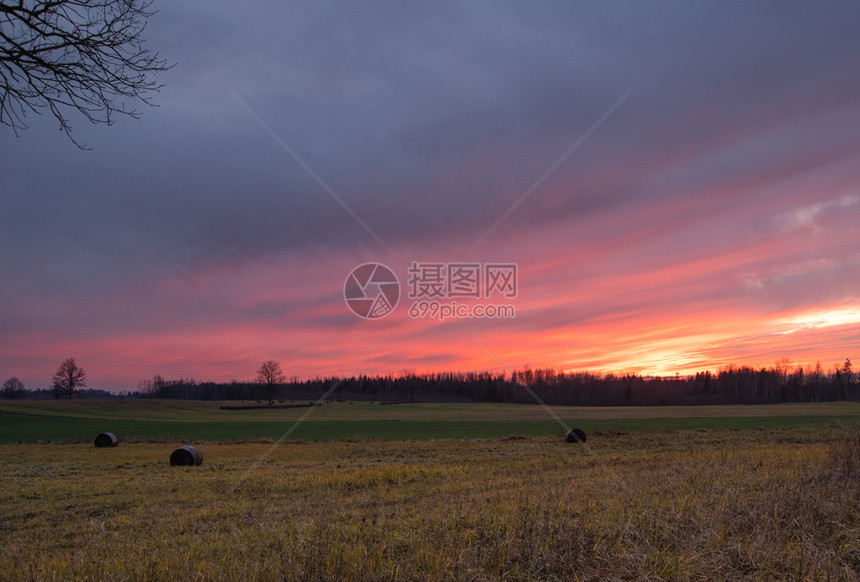 晚的场地秋末在拉脱维亚被树木包围的草丛中一片粉红日落在干草场上超过图片