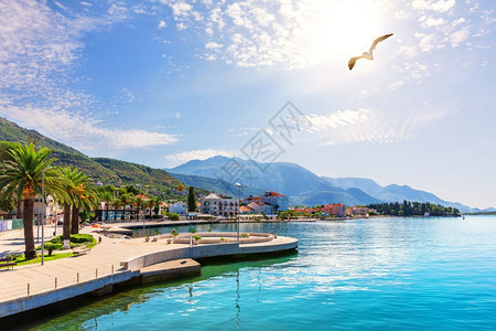科托尔斯卡蒂瓦特黑山港阳光明媚的夏日景色蒂瓦特阳光明媚的夏日景色旅行堤图片